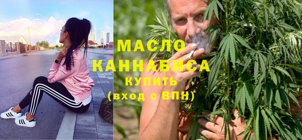 молекула духа Гусиноозёрск