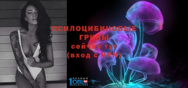 гидропоника Гусь-Хрустальный