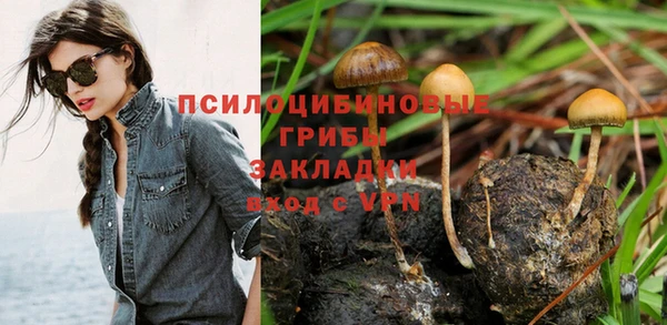 молекула духа Гусиноозёрск
