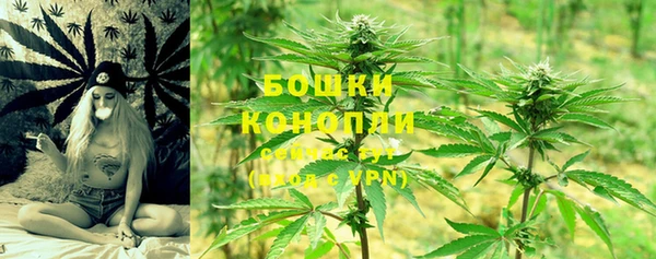 молекула духа Гусиноозёрск