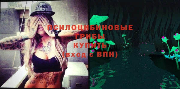 гидропоника Гусь-Хрустальный