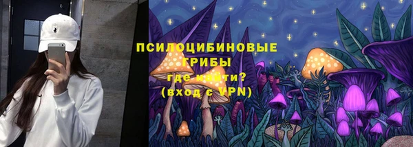 круглые Гусев