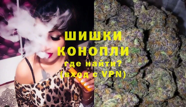 молекула духа Гусиноозёрск