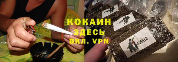 молекула духа Гусиноозёрск