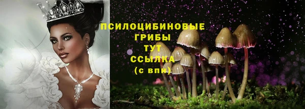 круглые Гусев