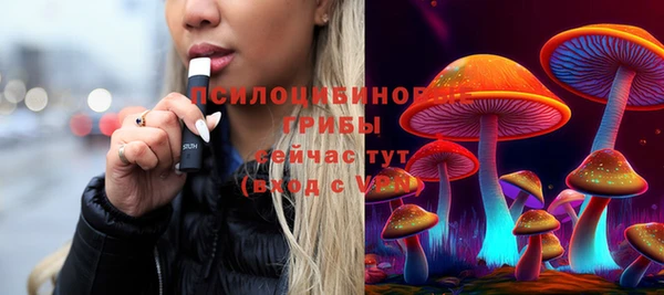 молекула духа Гусиноозёрск