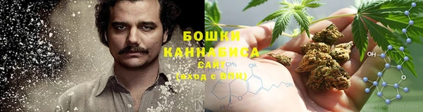круглые Гусев